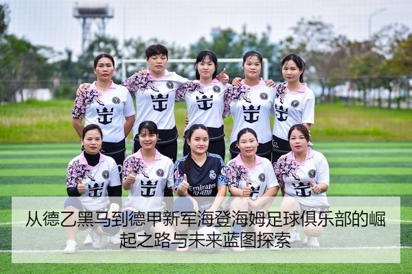 cong-de-yi-hei-ma-dao-de-jia-xin-jun-hai-deng-hai-mu-zu-qiu-ju-le-bu-de-jue-qi-zhi-lu-yu-wei-lai-lan-tu-tan-suo-2-731.jpg