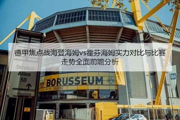 德甲焦点战海登海姆vs霍芬海姆实力对比与比赛走势全面前瞻分析