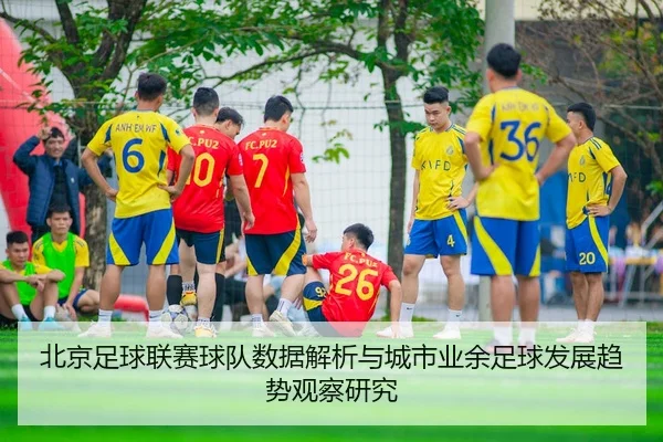北京足球联赛球队数据解析与城市业余足球发展趋势观察研究